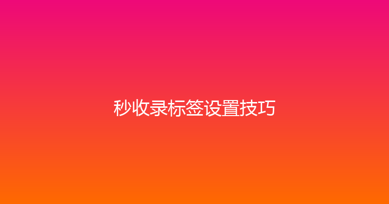 秒收录标签设置技巧 封面图