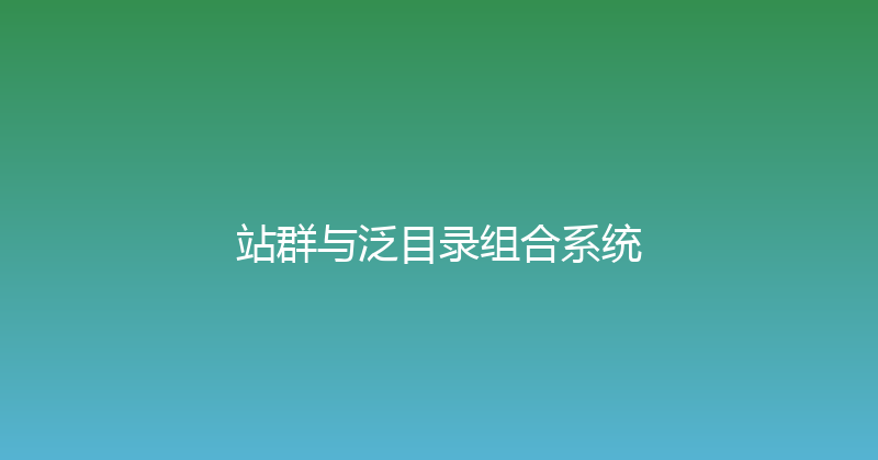 站群与泛目录组合系统 封面图