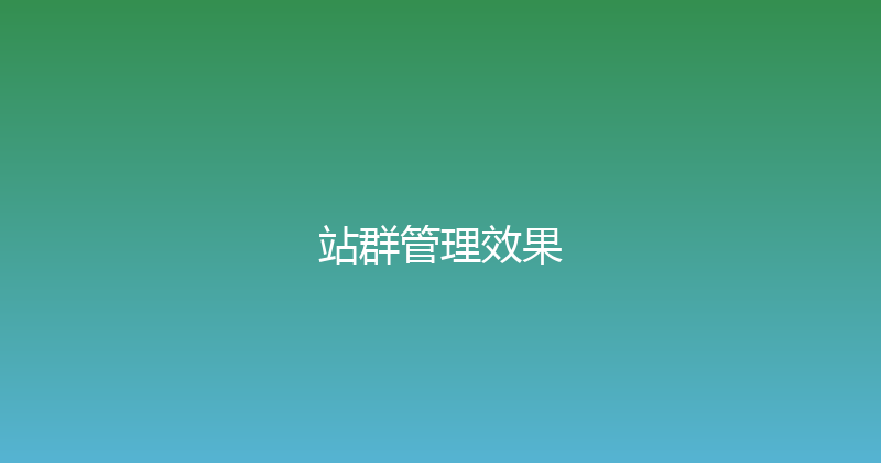 站群管理效果 封面图