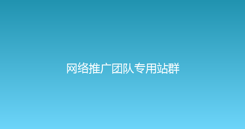 网络推广团队专用站群 封面图