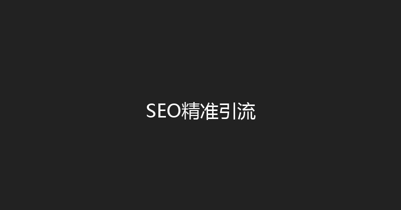 SEO精准引流 封面图